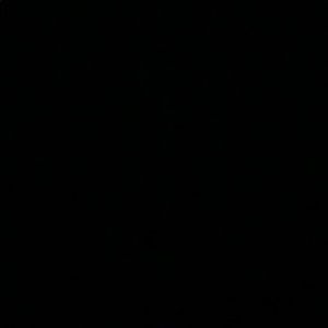 Meet your Posher, Jake